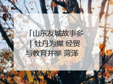 山东友城故事多|牡丹为媒 经贸与教育并举 菏泽国际“朋友圈”扩容升级