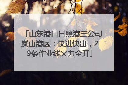 山东港口日照港三公司岚山港区：快进快出，29条作业线火力全开