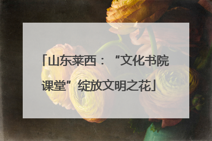 山东莱西：“文化书院课堂”绽放文明之花