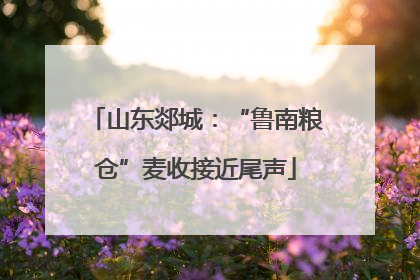 山东郯城：“鲁南粮仓”麦收接近尾声