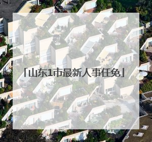山东1市最新人事任免