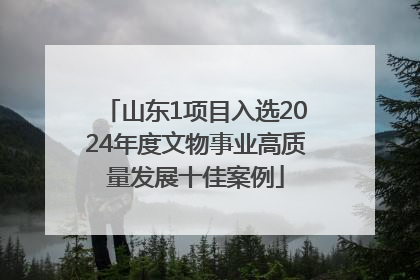 山东1项目入选2024年度文物事业高质量发展十佳案例
