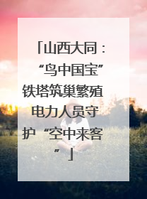 山西大同：“鸟中国宝”铁塔筑巢繁殖 电力人员守护“空中来客”