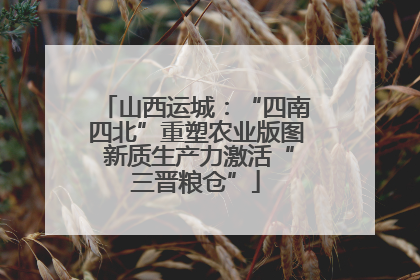 山西运城：“四南四北”重塑农业版图 新质生产力激活“三晋粮仓”