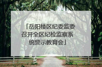 岳阳楼区纪委监委召开全区纪检监察系统警示教育会