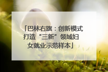 巴林右旗：创新模式 打造“三新”领域妇女就业示范样本