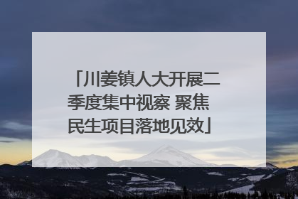 川姜镇人大开展二季度集中视察 聚焦民生项目落地见效