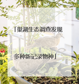 巢湖生态调查发现多种新记录物种