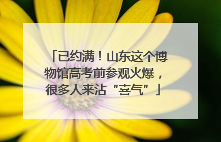 已约满！山东这个博物馆高考前参观火爆，很多人来沾“喜气”