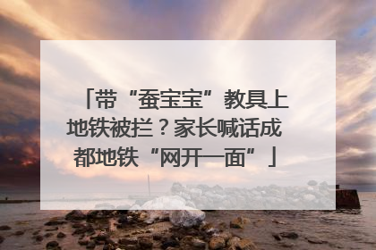 带“蚕宝宝”教具上地铁被拦？家长喊话成都地铁“网开一面”