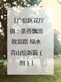 广信区花厅镇:茶香飘出致富路 绿水青山绘新篇(图)