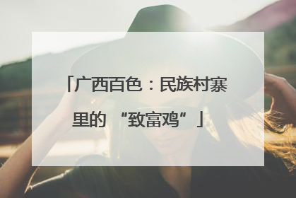 广西百色：民族村寨里的 “致富鸡”