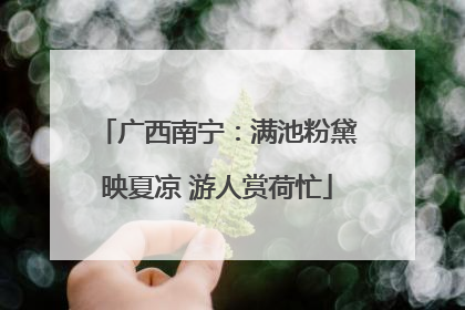 广西南宁：满池粉黛映夏凉 游人赏荷忙