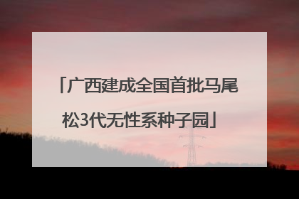 广西建成全国首批马尾松3代无性系种子园