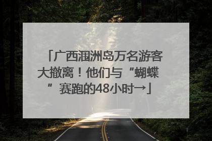 广西涠洲岛万名游客大撤离！他们与“蝴蝶”赛跑的48小时→