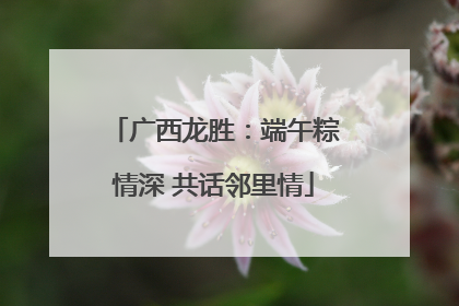 广西龙胜：端午粽情深 共话邻里情
