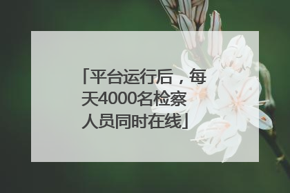平台运行后，每天4000名检察人员同时在线