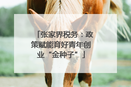 张家界税务：政策赋能育好青年创业“金种子”
