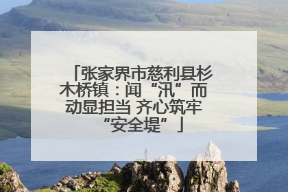 张家界市慈利县杉木桥镇：闻“汛”而动显担当 齐心筑牢“安全堤”