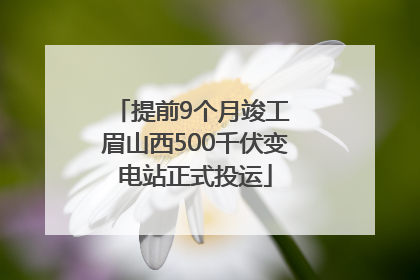 提前9个月竣工 眉山西500千伏变电站正式投运