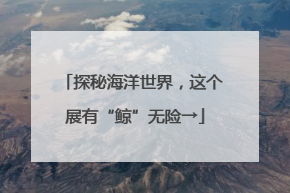 探秘海洋世界，这个展有“鲸”无险→