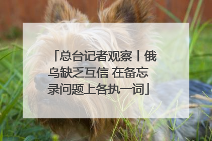 总台记者观察丨俄乌缺乏互信 在备忘录问题上各执一词