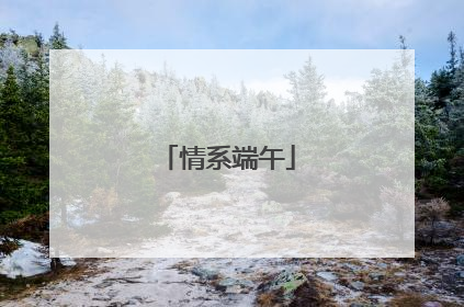 情系端午