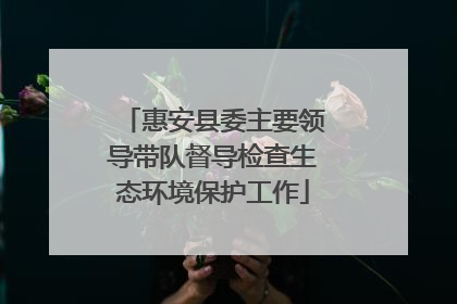 惠安县委主要领导带队督导检查生态环境保护工作