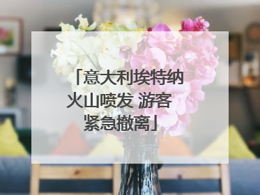 意大利埃特纳火山喷发 游客紧急撤离