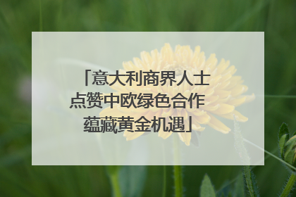 意大利商界人士点赞中欧绿色合作蕴藏黄金机遇
