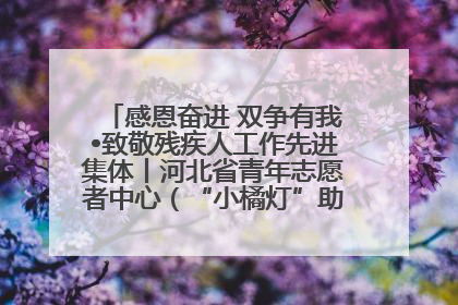 感恩奋进 双争有我•致敬残疾人工作先进集体丨河北省青年志愿者中心（“小橘灯”助残接力计划实施团队）：用温暖陪伴，守护特殊孩子成长