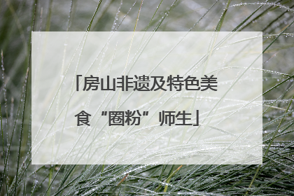 房山非遗及特色美食“圈粉”师生