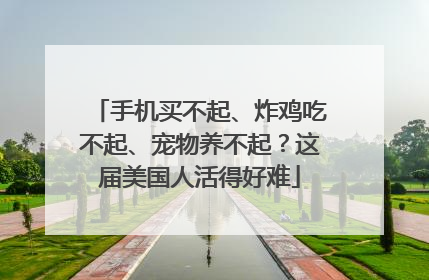 手机买不起、炸鸡吃不起、宠物养不起？这届美国人活得好难