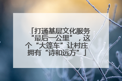 打通基层文化服务“最后一公里”，这个“大篷车”让村庄拥有“诗和远方”