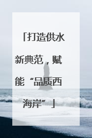 打造供水新典范，赋能“品质西海岸”