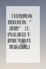 持续降雨致娃娃鱼“迷路” 江西金溪县干群联手助其重返自然