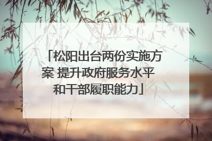 松阳出台两份实施方案 提升政府服务水平和干部履职能力