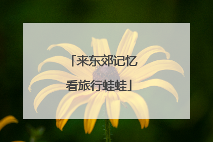 来东郊记忆 看旅行蛙蛙