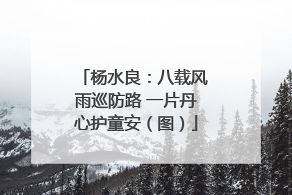 杨水良：八载风雨巡防路 一片丹心护童安（图）