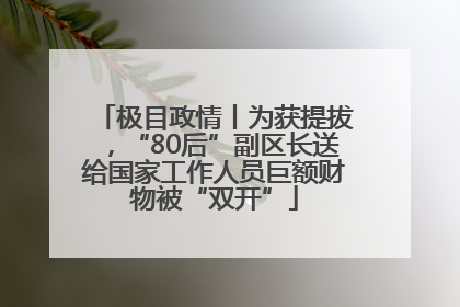 极目政情丨为获提拔，“80后”副区长送给国家工作人员巨额财物被“双开”
