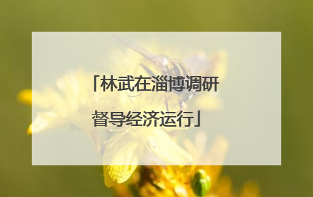 林武在淄博调研督导经济运行