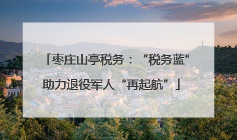 枣庄山亭税务：“税务蓝”助力退役军人“再起航”