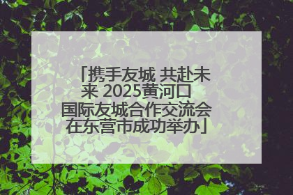 携手友城 共赴未来 2025黄河口国际友城合作交流会在东营市成功举办