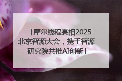 摩尔线程亮相2025北京智源大会，携手智源研究院共推AI创新