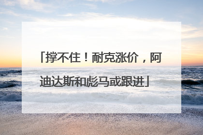 撑不住！耐克涨价，阿迪达斯和彪马或跟进