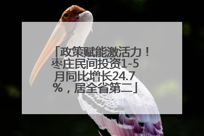 政策赋能激活力！枣庄民间投资1-5月同比增长24.7%，居全省第二