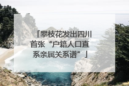 攀枝花发出四川首张“户籍人口直系亲属关系谱”