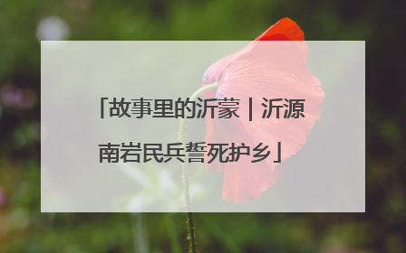 故事里的沂蒙｜沂源南岩民兵誓死护乡