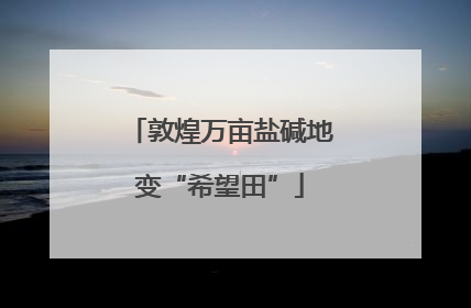 敦煌万亩盐碱地变“希望田”