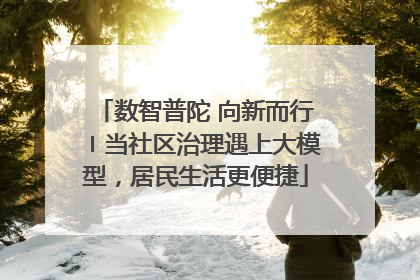 数智普陀 向新而行〡当社区治理遇上大模型，居民生活更便捷